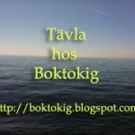 tavla_boktokig